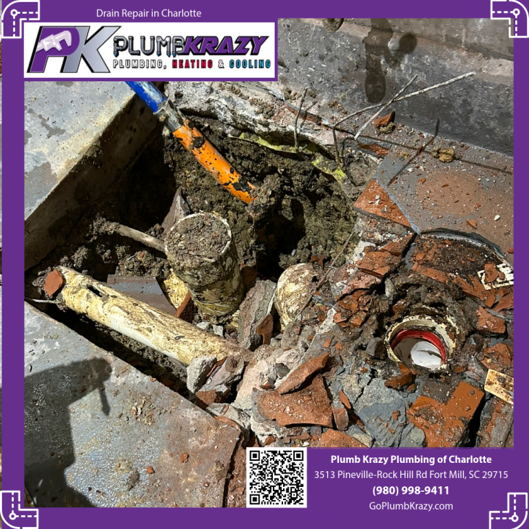 Drain repair in Charlotte