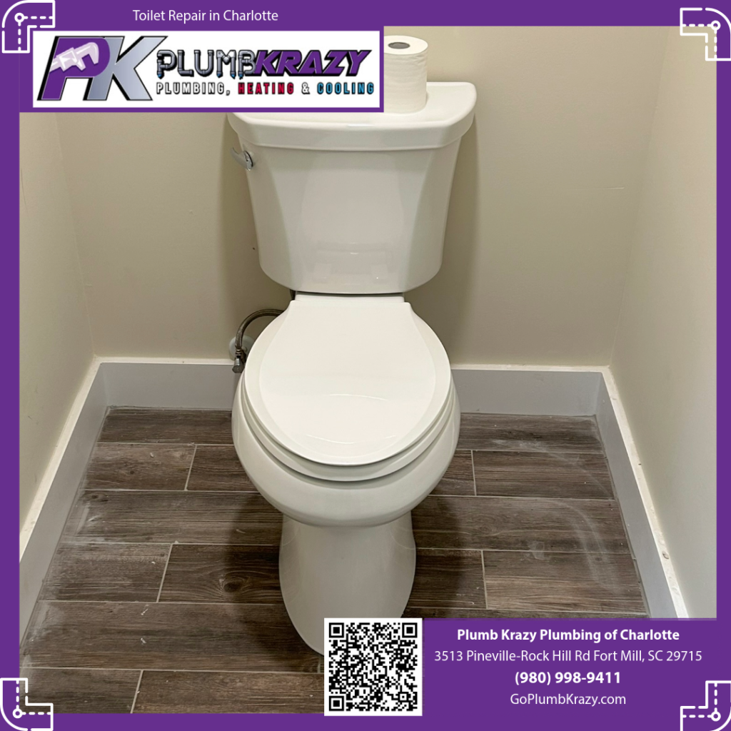 Toilet Repair
