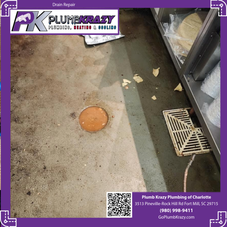 Drain repair in Charlotte