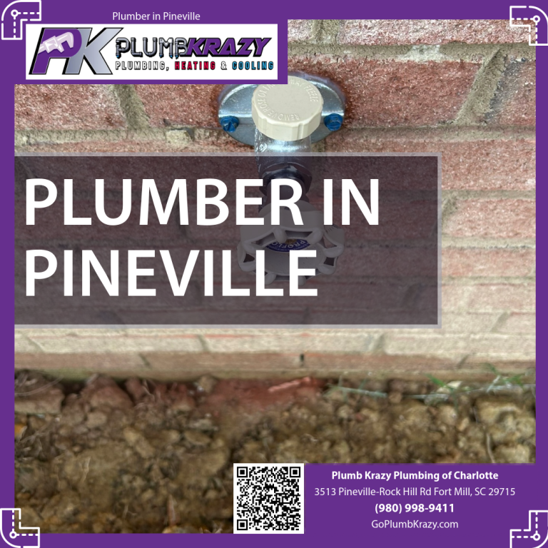 plumber in pineville